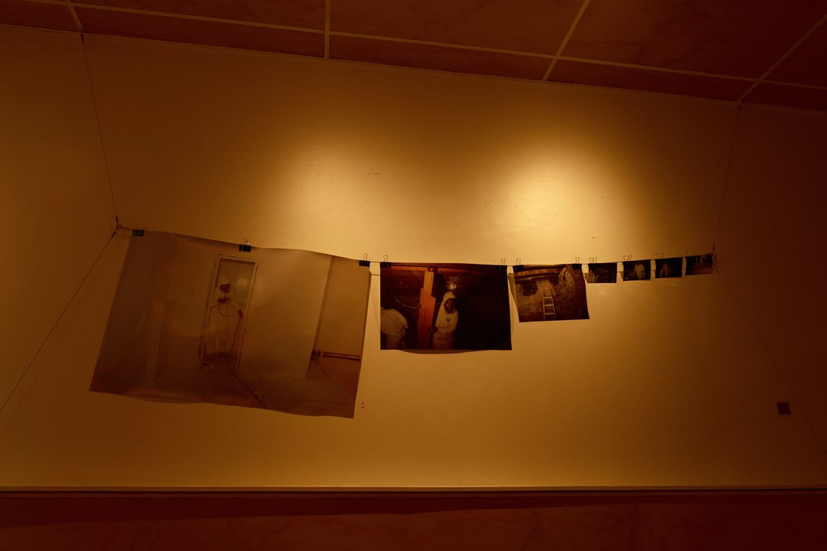 andcompany photo 7